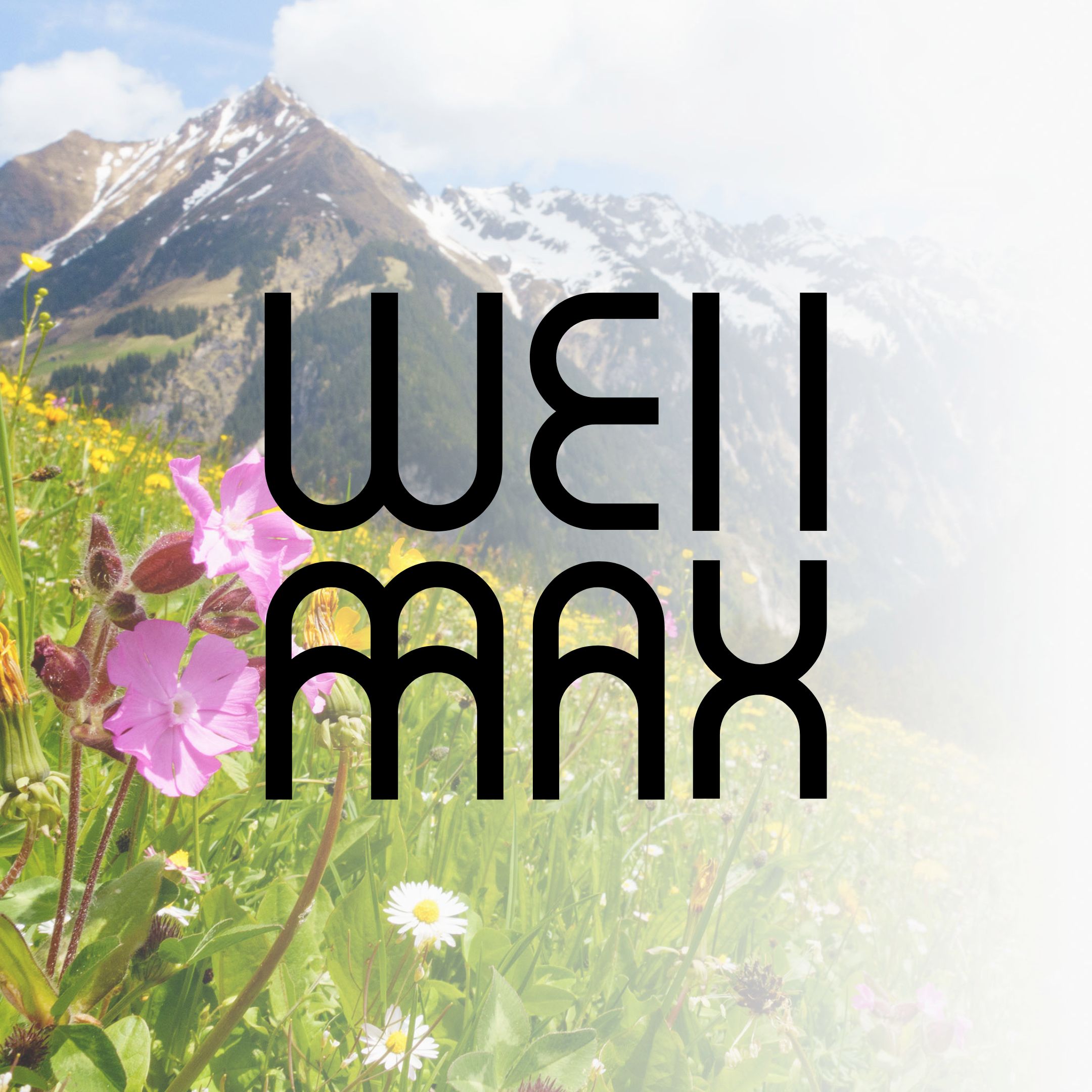 Wellmax hory